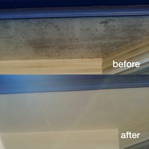 Building-wash-before-after2